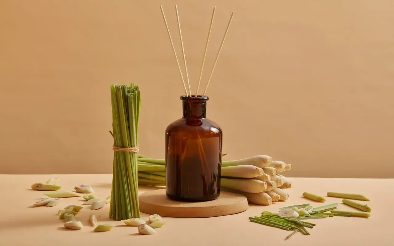 Bouteille de diffuseur avec des tiges de citronnelle, un rem&egrave;de grand-m&egrave;re naturel pour un r&eacute;pulsif moustique efficace.