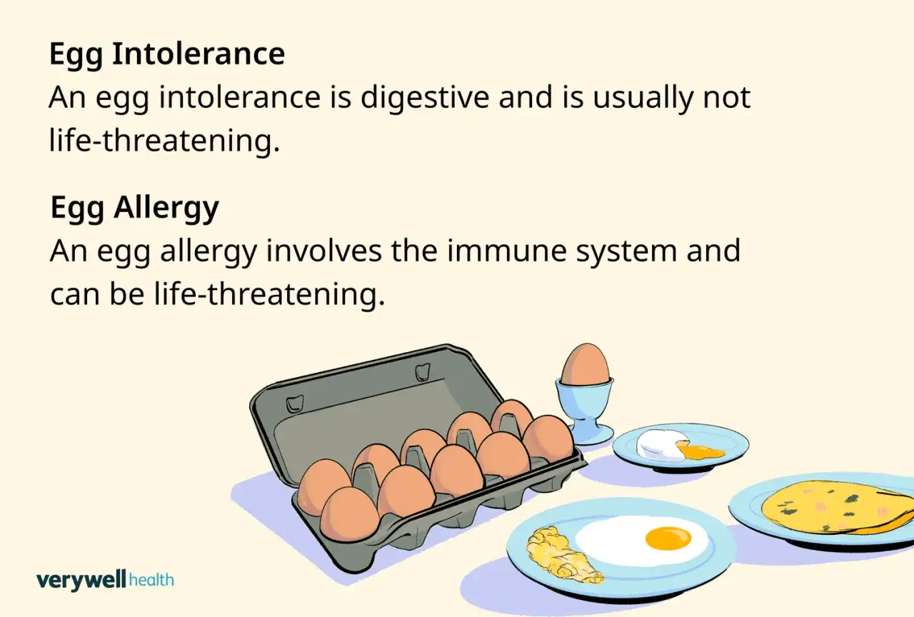 Différence entre intolérance aux œufs (digestive, non vitale) et allergie aux œufs (système immunitaire, potentiellement vitale). Illustration d'œufs.