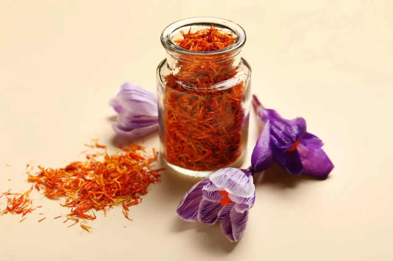 Fleurs de crocus et un petit pot rempli de stigmates de safran, une épice précieuse qui peut provoquer une allergie au safran chez certaines personnes.