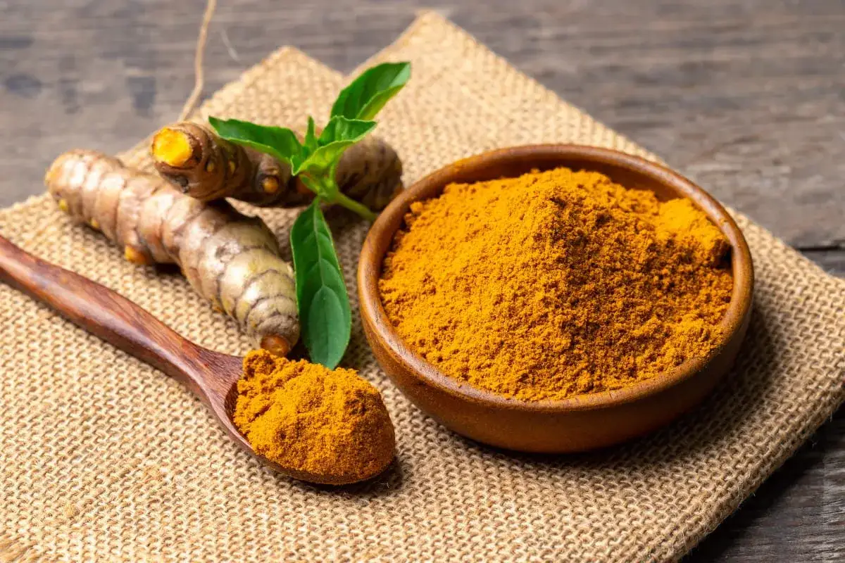 Racines de curcuma et poudre dorée dans un bol et une cuillère en bois, évoquant le curcuma bienfait pour la santé.