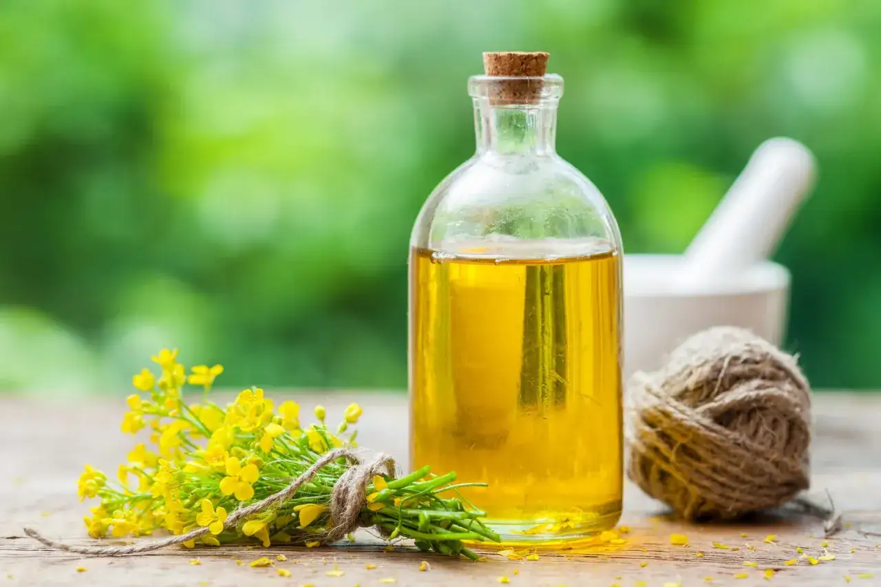 Bouteille d'huile de colza cuisson dorée, bouquet de fleurs de colza jaunes, mortier et rouleau de corde sur fond vert flou.