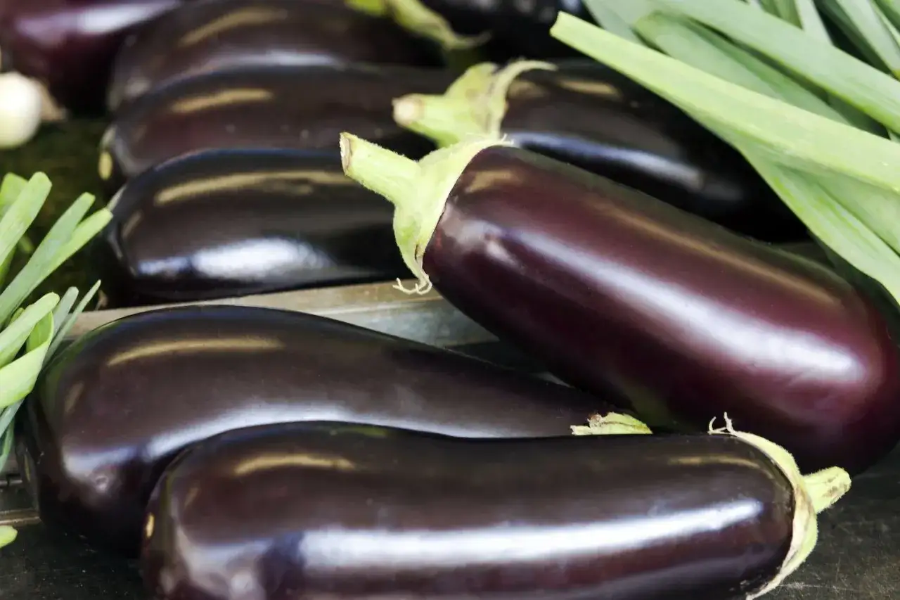 Aubergines brillantes, pr&ecirc;tes &agrave; &ecirc;tre cuisin&eacute;es. Une recette sans histamine, pleine de saveurs.