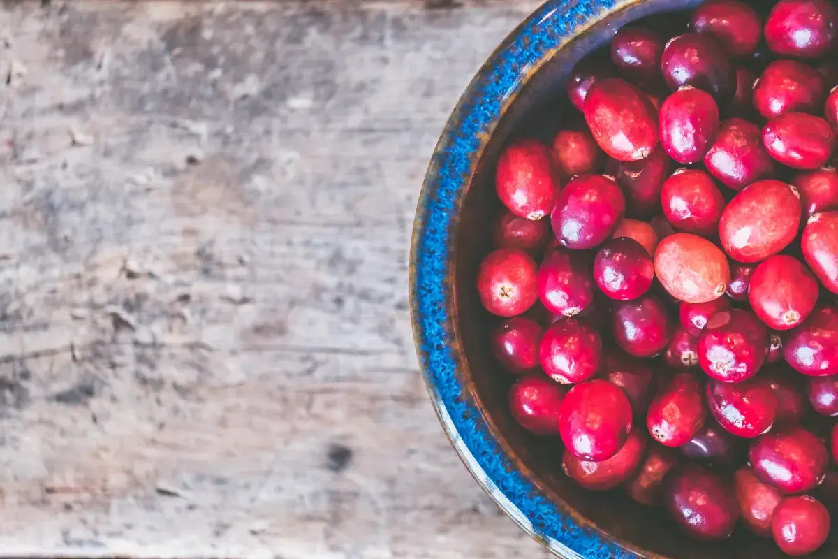 Cranberries dans un bol bleu, un rem&egrave;de naturel pour l'infection urinaire.