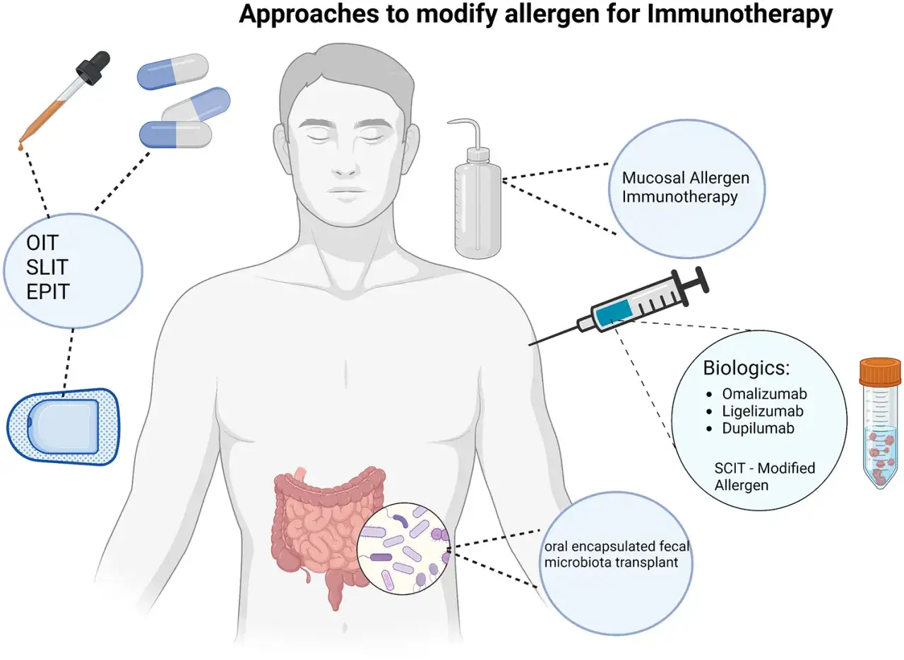 Sch&eacute;ma illustrant diverses approches pour la d&eacute;sensibilisation allergies : immunoth&eacute;rapie orale, sublinguale, &eacute;picutan&eacute;e, mucosale, biologiques et transplantation f&eacute;cale.