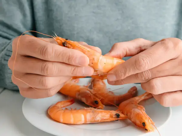 Des mains épluchent une crevette crue, posée sur une assiette avec d'autres crevettes. Peut on manger des crevettes crues ?